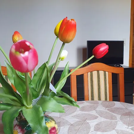 Feher Rozsa * Cserszegtomaj