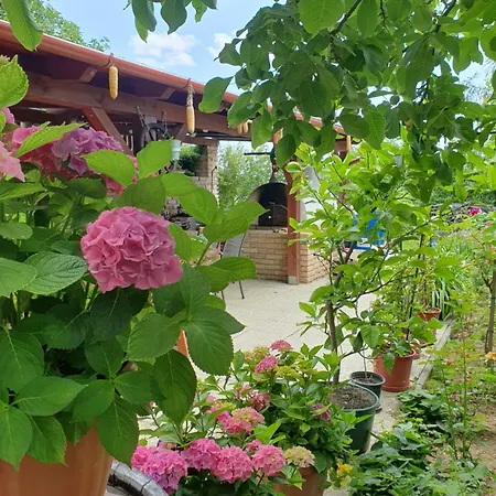 Feher Rozsa Lägenhet Cserszegtomaj