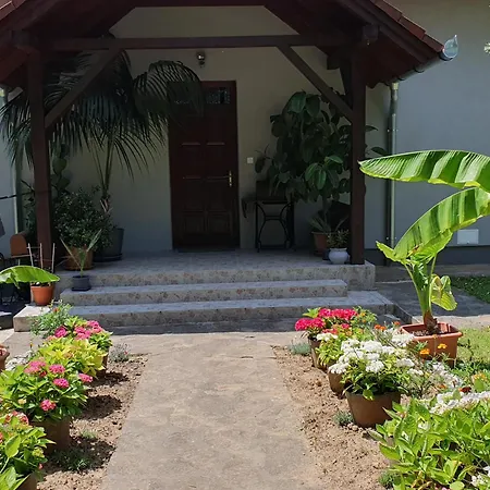 Feher Rozsa Cserszegtomaj