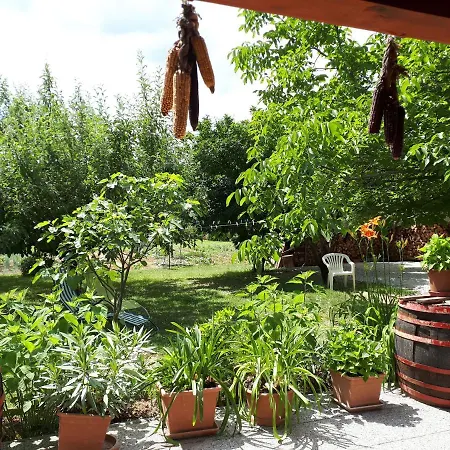 Fehér Rózsa Apartman